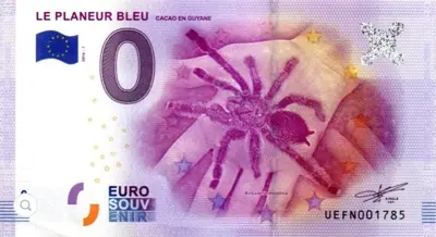 Billet 0€ LE PLANEUR BLEUCACAO EN GUYANE