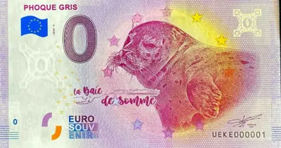 Billet 0€ PHOQUE GRIS