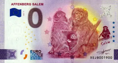 Billet 0€ AFFENBERG SALEM