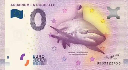 Billet 0€ AQUARIUM LA ROCHELLE REQUIN À POINTES NOIRES